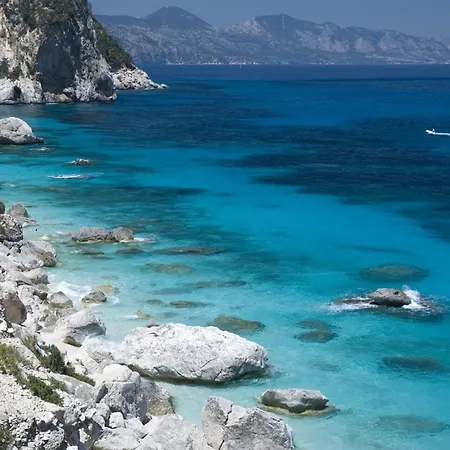 Comfy Flat Immersed In Nature