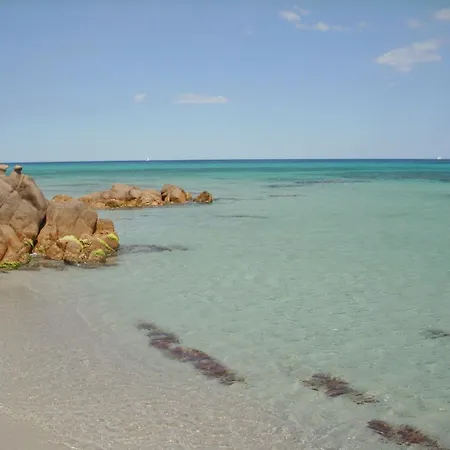 Comfy Flat Immersed In Nature *