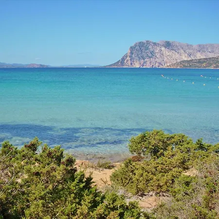 Apartment Comfy Flat Immersed In Nature Budoni