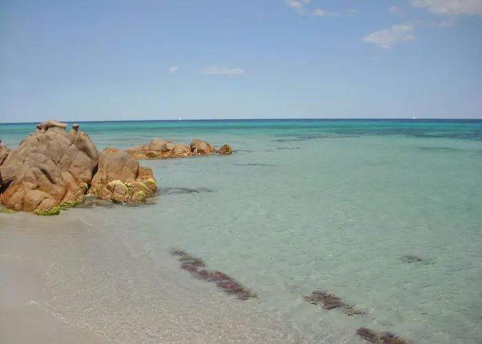 Comfy Flat Immersed In Nature *