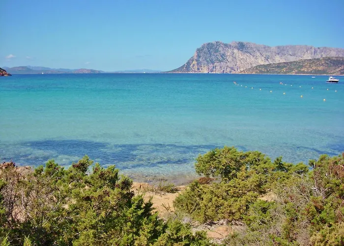 Apartment Comfy Flat Immersed In Nature Budoni